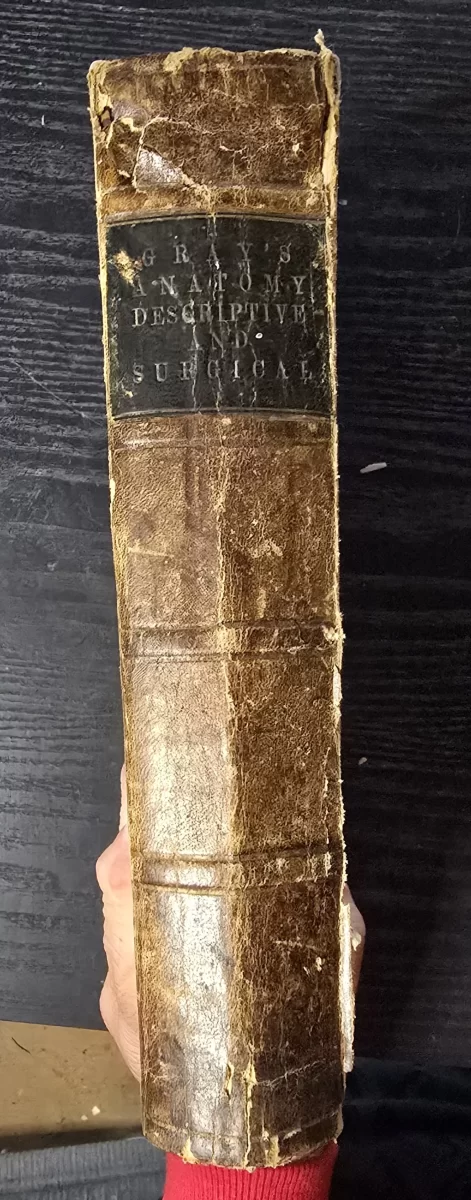 1865 Gray’s Anatomy spine with worn lettering