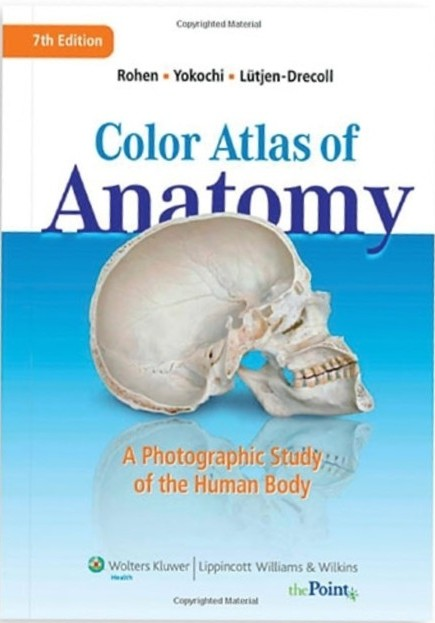 Color Atlas of Anatomy: A Photographic Study of the Human Body” (7th Edition) by Rohen, Yokochi, and Lütjen-Drecoll, featuring labeled anatomical photographs of the human body.