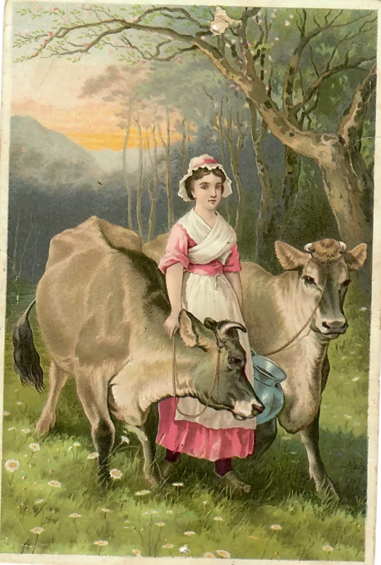 The Jerseys trade card – woman with two Jersey cows, late 19th-century medical advertising