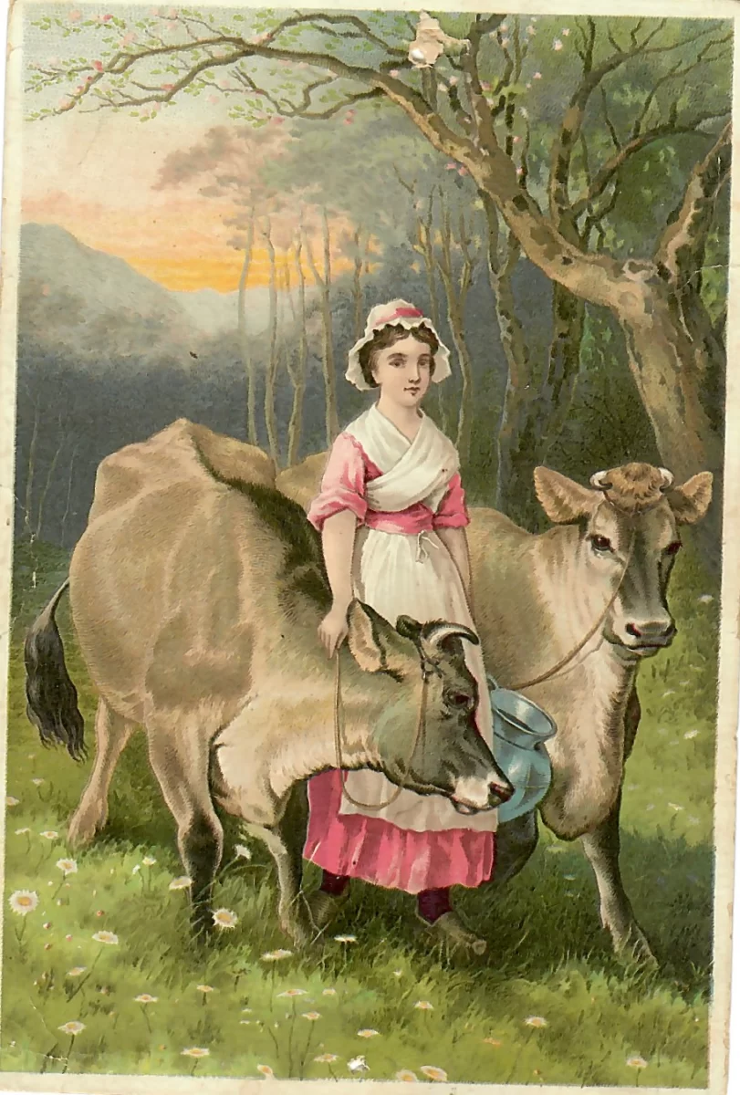 The Jerseys trade card – woman with two Jersey cows, late 19th-century medical advertising