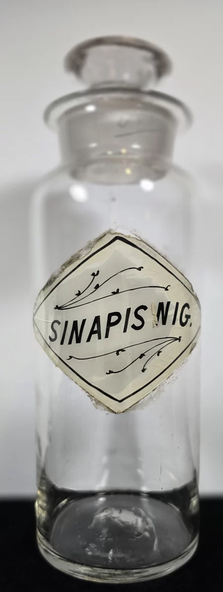 Front view of Sinapis Nigra apothecary jar label