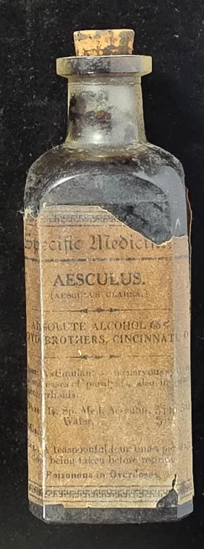 Antique Lloyd Brothers Specific Medicine bottle labeled Aesculus glabra from Cincinnati, Ohio.