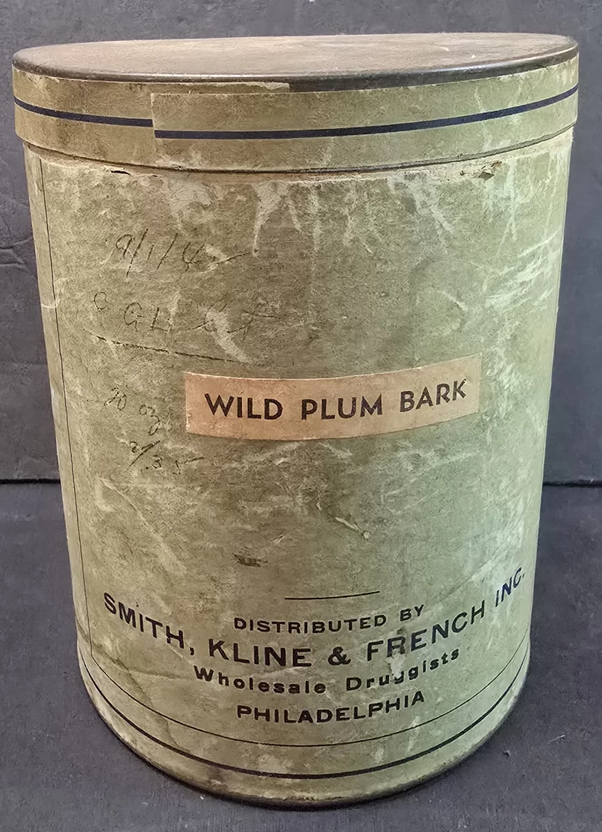 Vintage Smith Kline French fiber pharmaceutical drum labeled Wild Plum Bark containing original bark fragments.