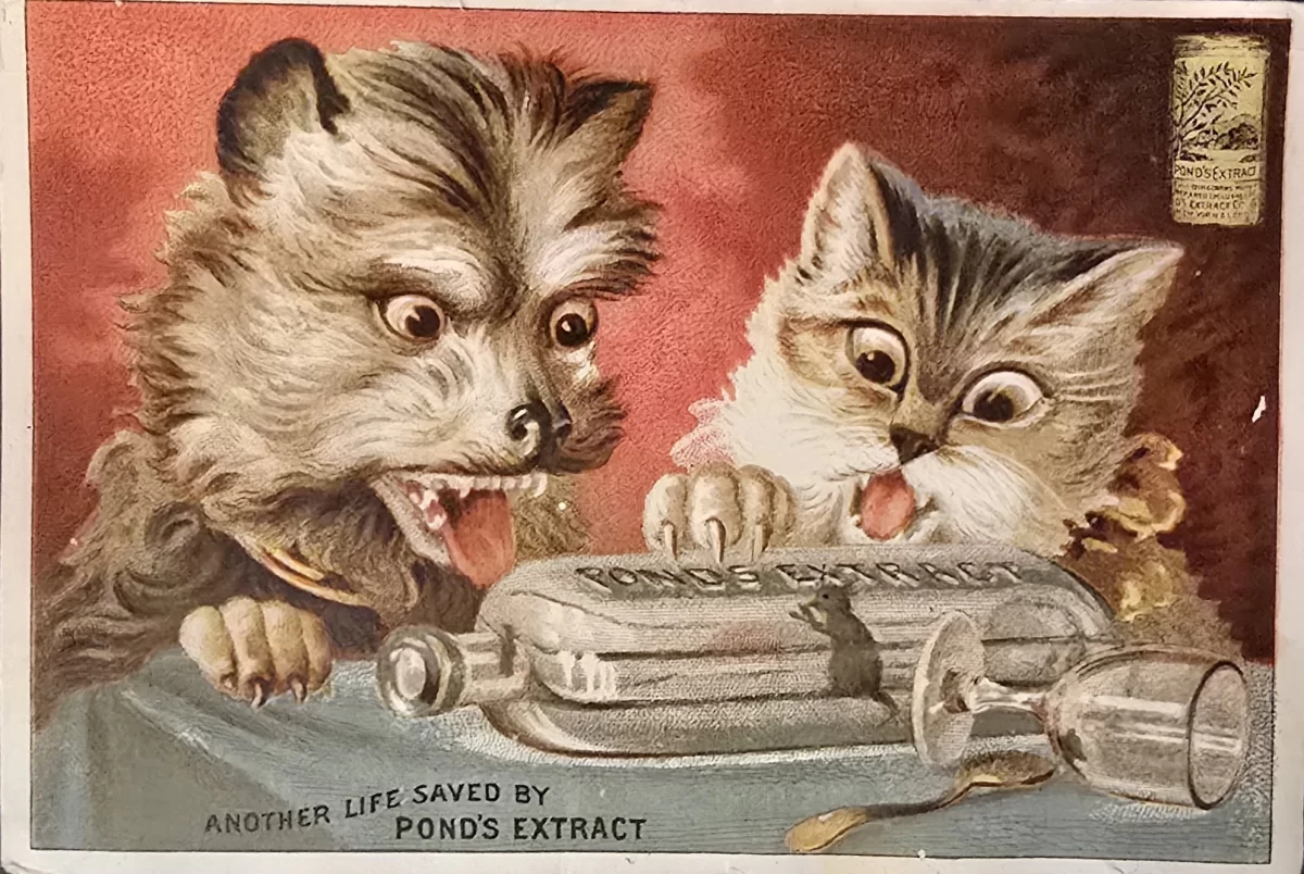 Illustrated antique Pond’s Extract advertisement showing a kitten and puppy with spilled medicine bottle, promoting witch hazel as a universal remedy
